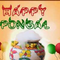 Happy Pongal.