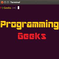 Programming Geeks