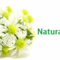 natural-health